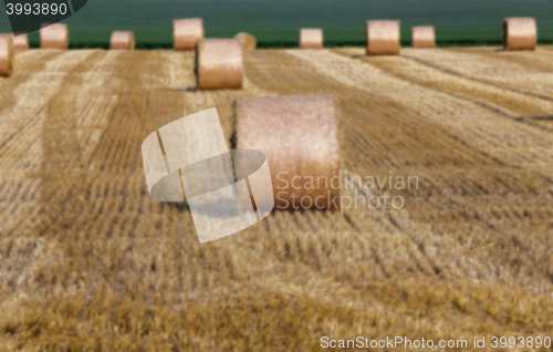 Image of haystacks in a field of straw