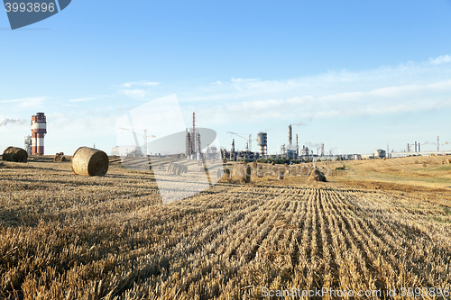 Image of stack of straw in the field