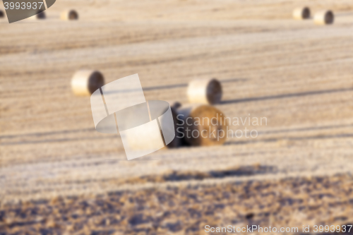 Image of stack of straw in the field