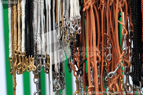 Image of dog leads collection
