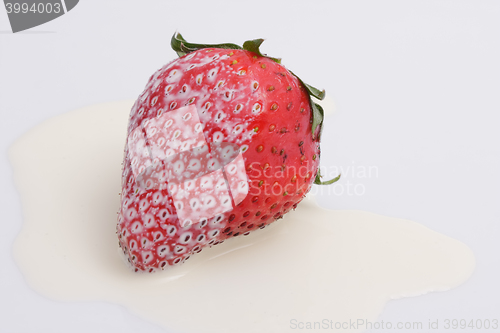 Image of Strawberry and Cream