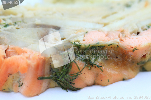 Image of salmon meat with dill