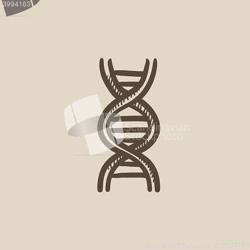 Image of DNA sketch icon.