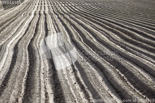 Image of plowed field, furrows