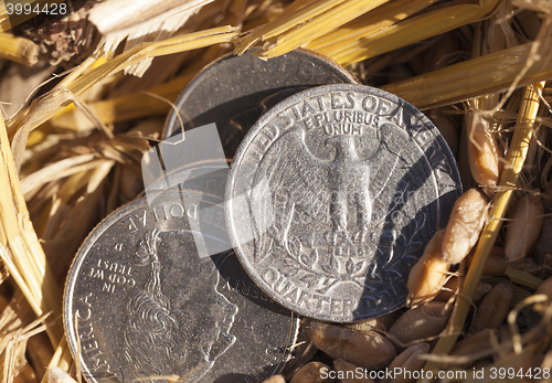 Image of coin on the ground