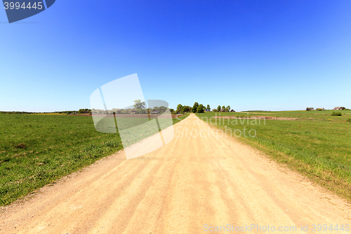 Image of rural road , spring