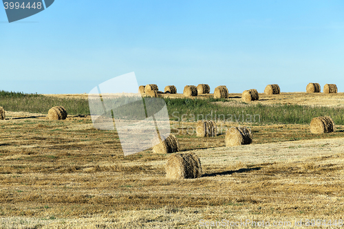 Image of stack of straw in the field