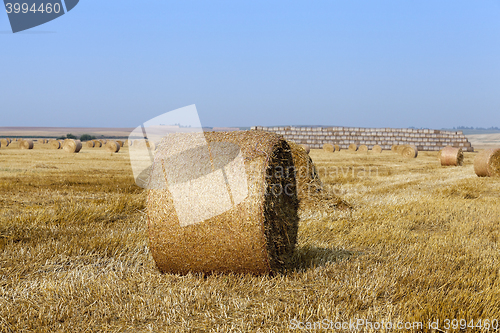 Image of straw in the field