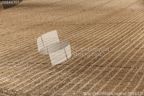 Image of plowed agricultural field