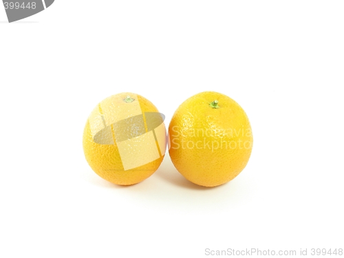 Image of Two Oranges