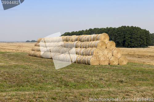 Image of stack of wheat straw