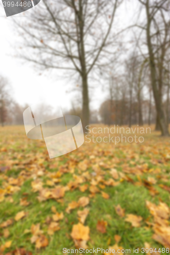 Image of Autumn Park, overcast