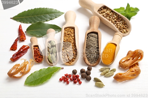 Image of Spices and herbs.