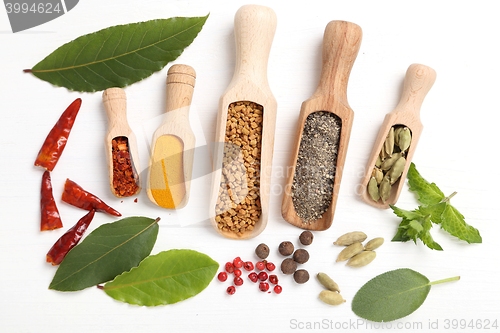 Image of Spices and herbs.