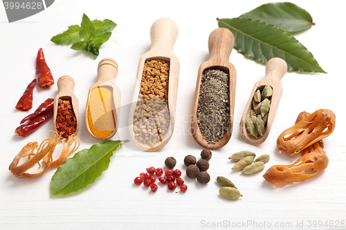 Image of Spices and herbs.