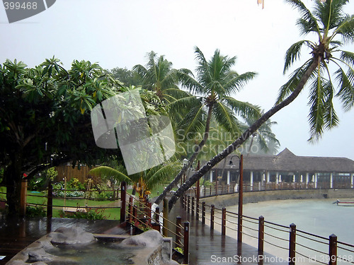 Image of Hurricane, seaside hotel, palms