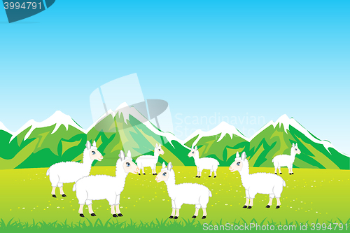 Image of Herd sheep in field