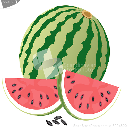 Image of Ripe watermelon