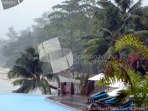 Image of Hurricane, seaside resort, palms