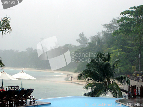 Image of Tropical hurricane, resort, palms