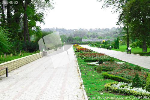 Image of park with flowerbeds