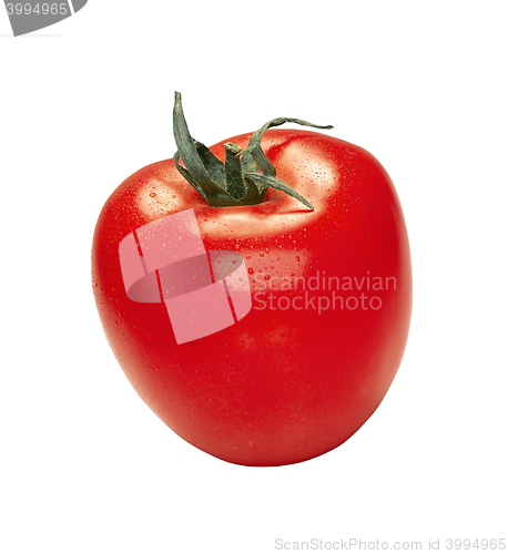 Image of tomato with water drops