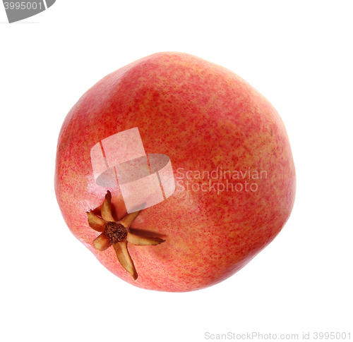 Image of pomegranates on a white background