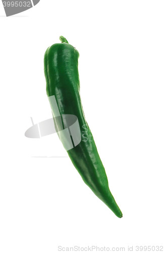 Image of One chili pepper, green on white background