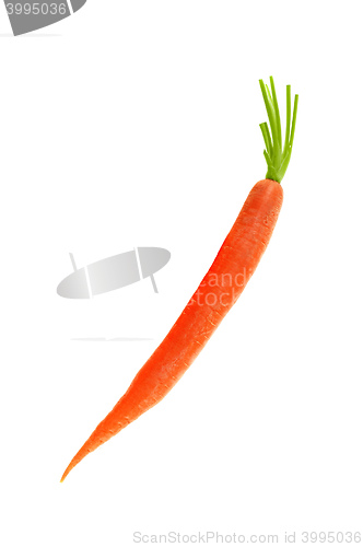 Image of carrot