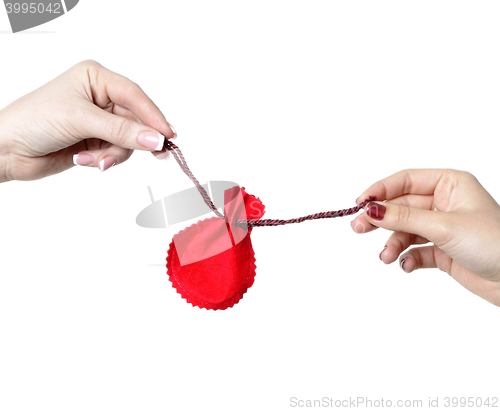 Image of two woman hands hold gift bag isolated