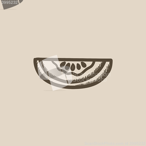 Image of Melon sketch icon.