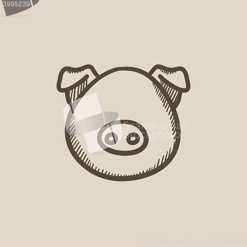 Image of Pig head sketch icon.