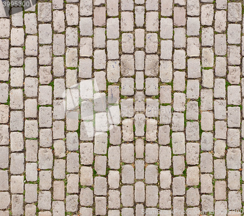 Image of Pavement texture