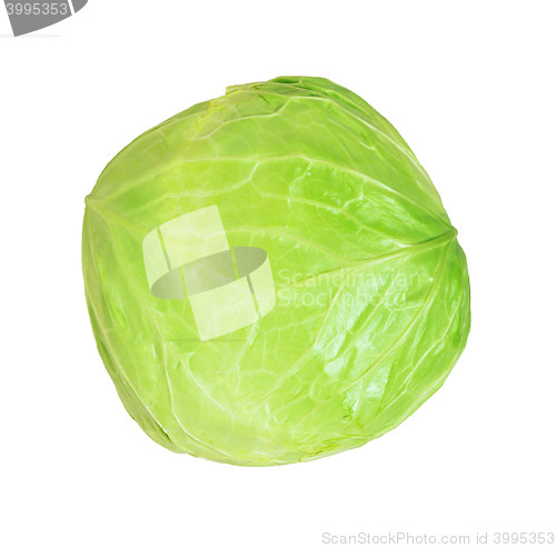 Image of cabbage isolated