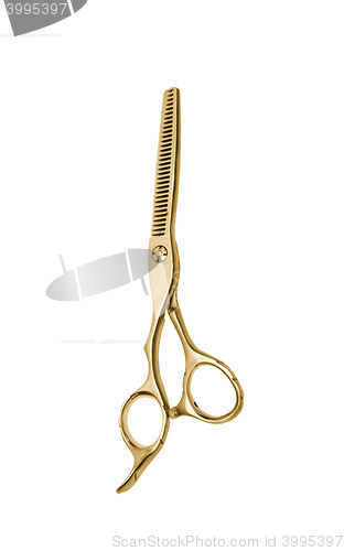 Image of Professional Haircutting Scissors. Studio isolation on white.