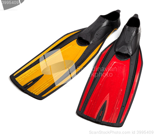 Image of Swim fins of different colors with water drops