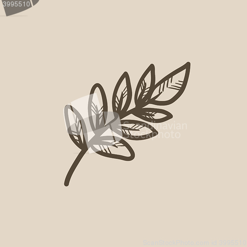 Image of Palm branch sketch icon.