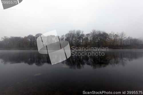 Image of Autumn Park, overcast