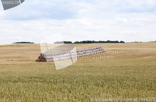 Image of stack of wheat straw