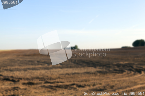 Image of plowed agricultural field