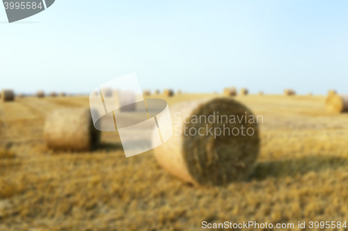 Image of stack of straw in the field