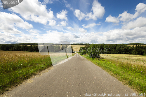 Image of Spring road, countryside