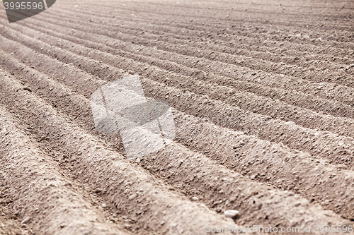 Image of plowed field, furrows