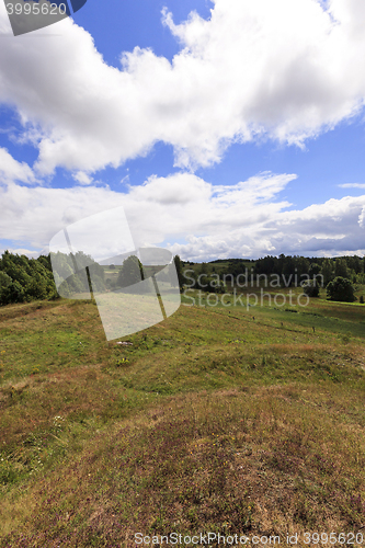 Image of green vegetation , field