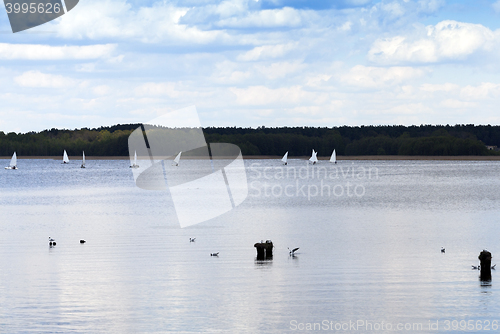 Image of sailing. Spring season