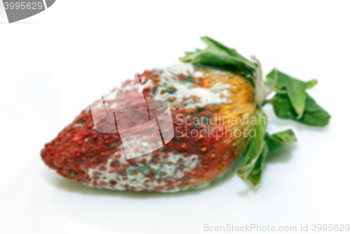Image of Strawberry with mold