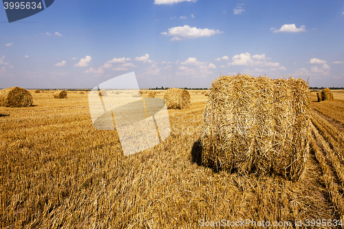 Image of Stack of straw