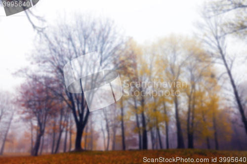 Image of Autumn Park, overcast