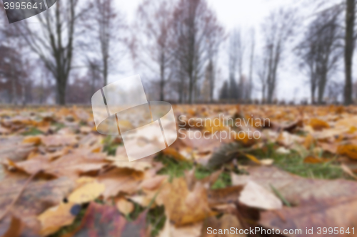 Image of Autumn Park, overcast