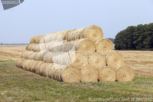 Image of stack of wheat straw